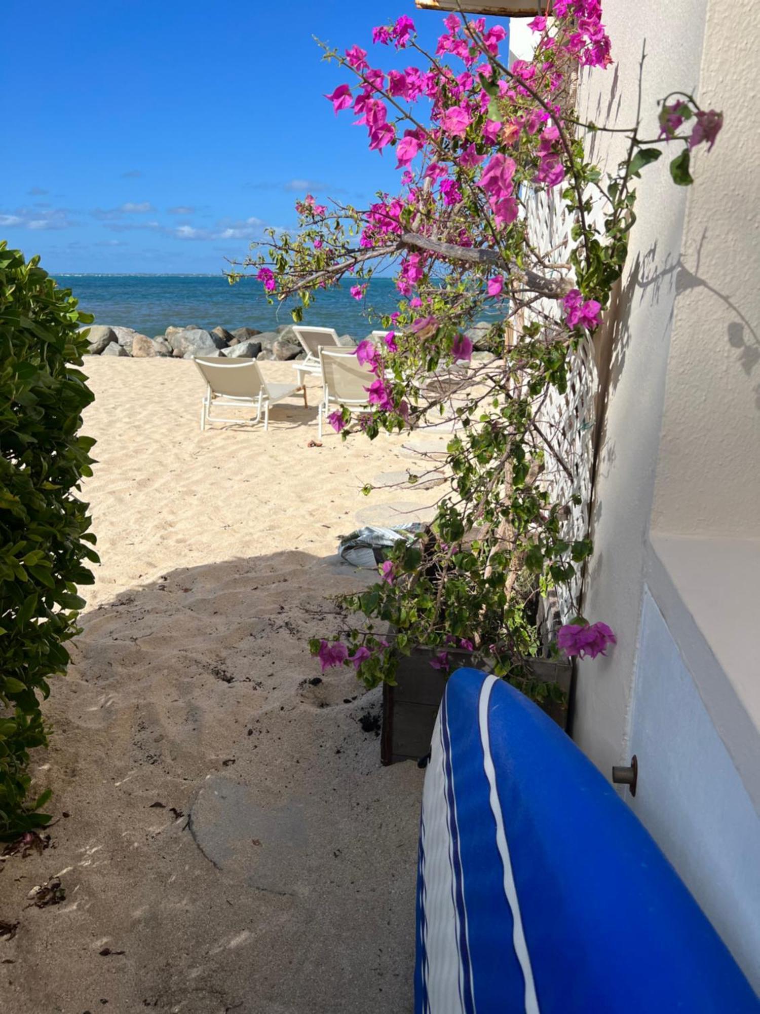 Sweet Home SXM Baie Nettlé Pieds dans l'eau Sandy Ground Exterior foto